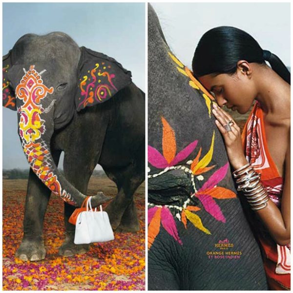 Decorated-Indian-Elephants-Hermes-Ad-Campaign