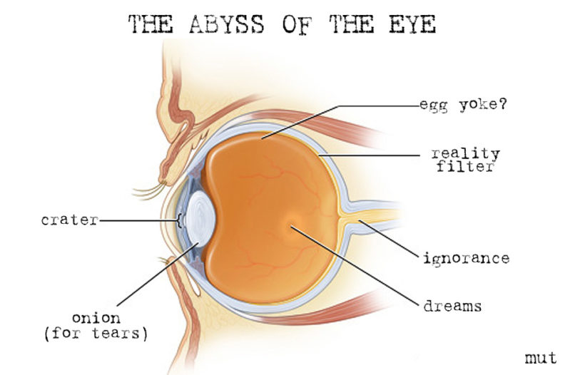 Периневральное пространство зрительного нерва. Глазное яблоко и зрительный нерв. Глазное яблоко с глазным нервом.